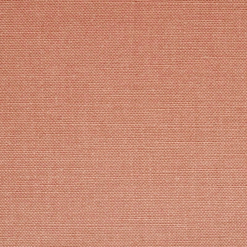Soft Plum